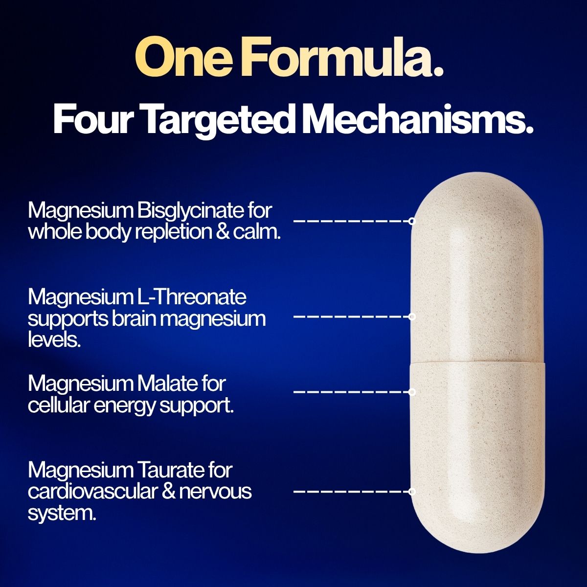 Magnesium Complete™ Brain Magnesium Complex (3 Bottles)